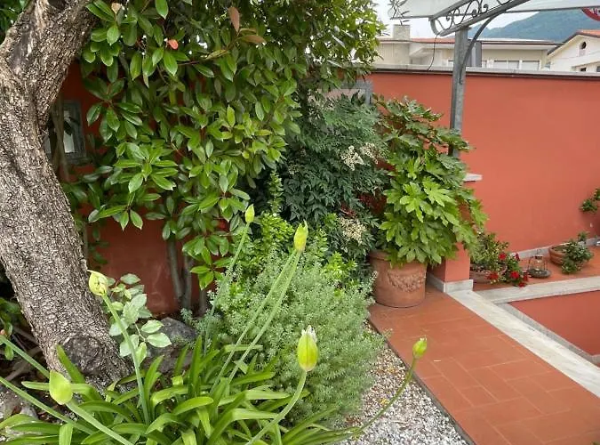 In Versilia Apartamento
