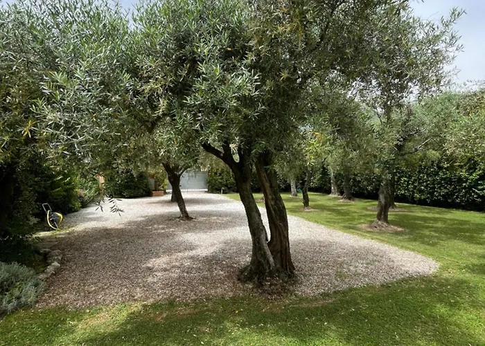 In Versilia *
